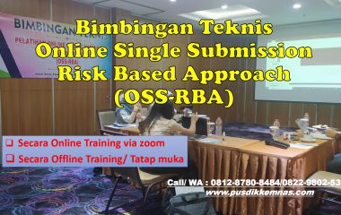 Bimtek Online Single Submission Risk Based Approach (OSS-RBA)